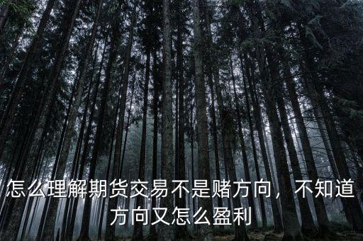怎么理解期貨交易不是賭方向，不知道方向又怎么盈利