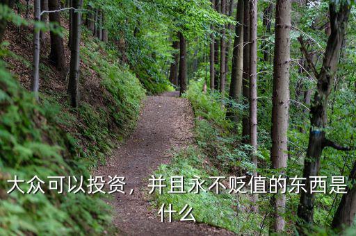 大眾可以投資，并且永不貶值的東西是什么