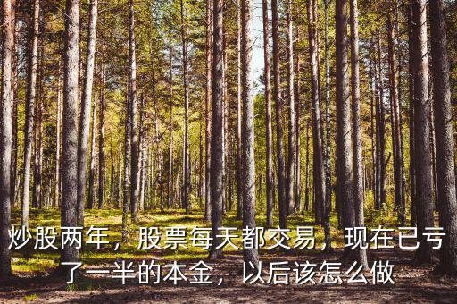 炒股兩年，股票每天都交易，現(xiàn)在已虧了一半的本金，以后該怎么做