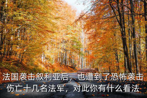 法國為什么會(huì)來恐怖襲擊,瓜達(dá)爾港遭遇恐怖襲擊