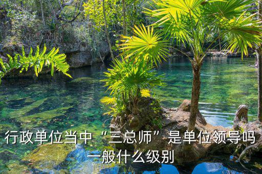 袁仁國是什么行政級(jí)別,一般什么級(jí)別