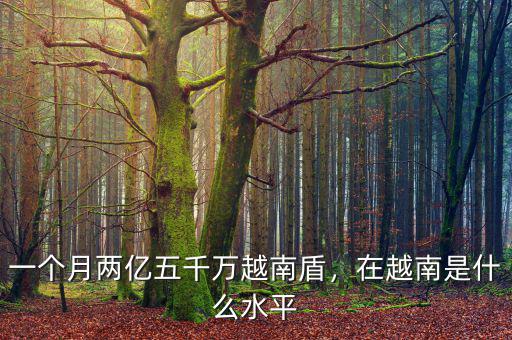 一個月兩億五千萬越南盾，在越南是什么水平