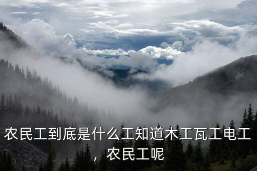 農(nóng)民工到底是什么工知道木工瓦工電工，農(nóng)民工呢