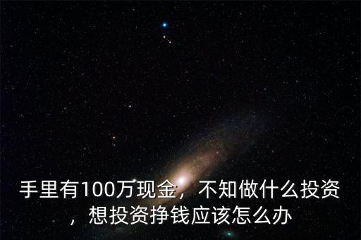 手里有100萬現(xiàn)金，不知做什么投資，想投資掙錢應(yīng)該怎么辦