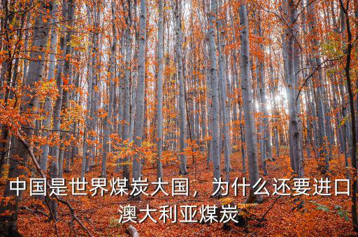 中國是世界煤炭大國，為什么還要進(jìn)口澳大利亞煤炭