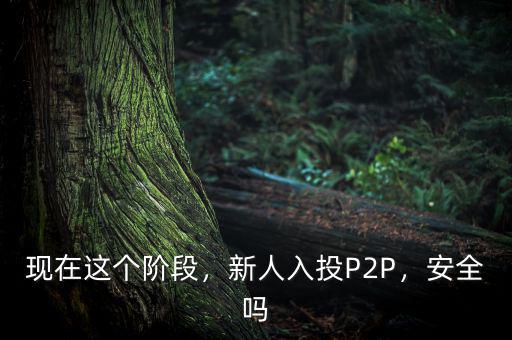 現(xiàn)在這個(gè)階段，新人入投P2P，安全嗎