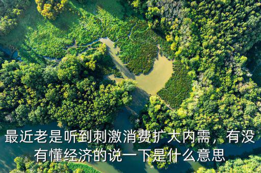 最近老是聽到刺激消費(fèi)擴(kuò)大內(nèi)需，有沒有懂經(jīng)濟(jì)的說一下是什么意思