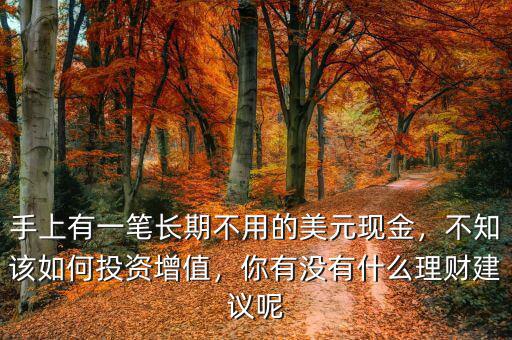 手上有一筆長期不用的美元現(xiàn)金，不知該如何投資增值，你有沒有什么理財建議呢