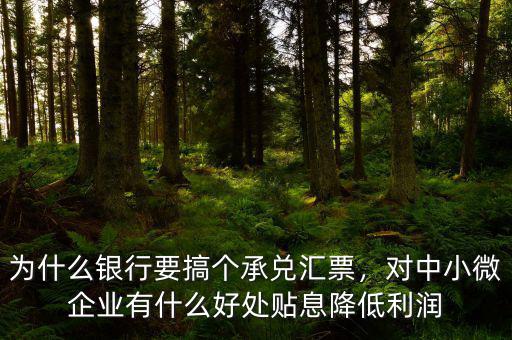 為什么銀行要搞個(gè)承兌匯票，對(duì)中小微企業(yè)有什么好處貼息降低利潤(rùn)