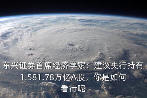 東興證券首席經(jīng)濟(jì)學(xué)家：建議央行持有1.581.78萬(wàn)億A股，你是如何看待呢