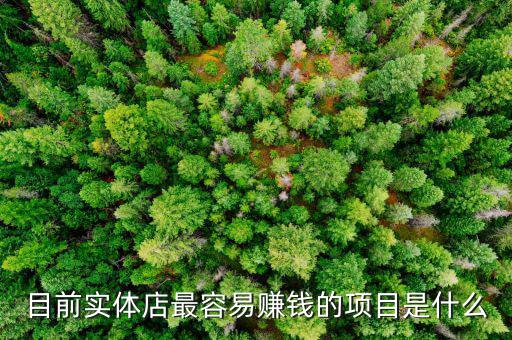 目前實(shí)體店最容易賺錢的項(xiàng)目是什么