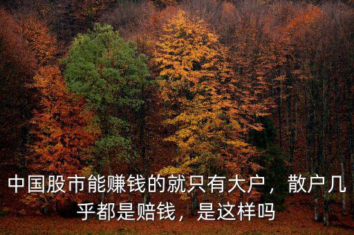 中國股市能賺錢的就只有大戶，散戶幾乎都是賠錢，是這樣嗎