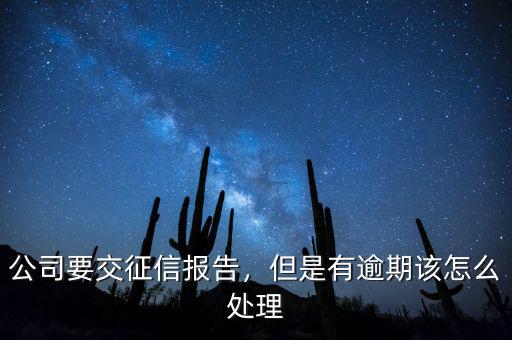 公司要交征信報(bào)告，但是有逾期該怎么處理