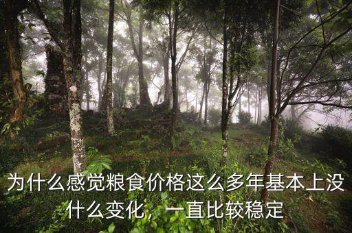 為什么感覺糧食價(jià)格這么多年基本上沒什么變化，一直比較穩(wěn)定