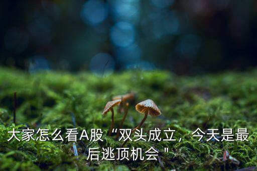 大家怎么看A股“雙頭成立，今天是最后逃頂機會＂