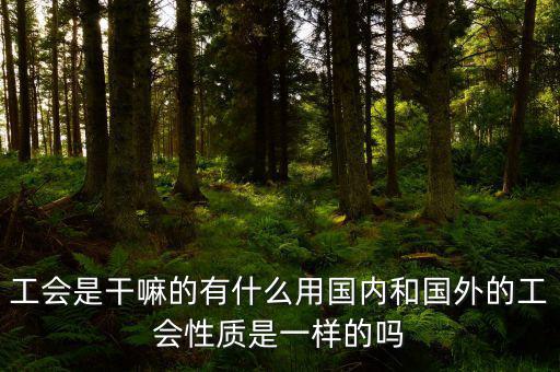 工會是干嘛的有什么用國內(nèi)和國外的工會性質是一樣的嗎