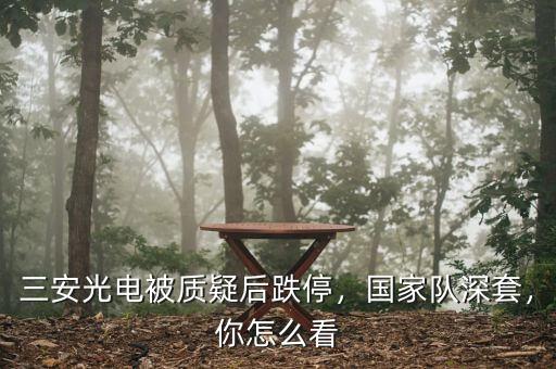 三安光電被質(zhì)疑后跌停，國家隊(duì)深套，你怎么看