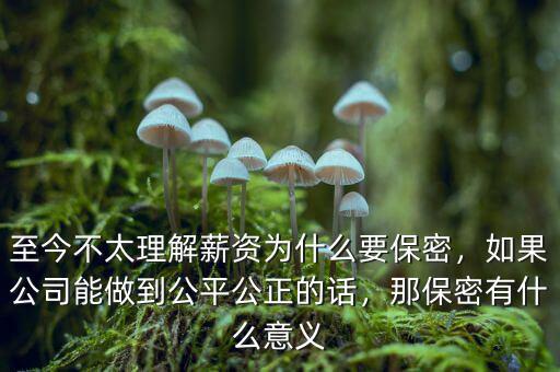 至今不太理解薪資為什么要保密，如果公司能做到公平公正的話，那保密有什么意義