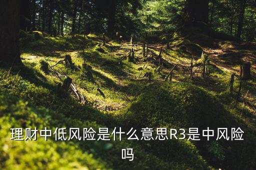 理財中低風(fēng)險是什么意思R3是中風(fēng)險嗎