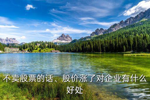 不賣股票的話、股價(jià)漲了對企業(yè)有什么好處