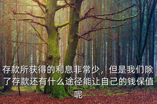 存款所獲得的利息非常少，但是我們除了存款還有什么途徑能讓自己的錢保值呢