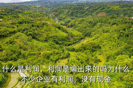什么是利潤(rùn)，利潤(rùn)是編出來的嗎為什么不少企業(yè)有利潤(rùn)，沒有現(xiàn)金