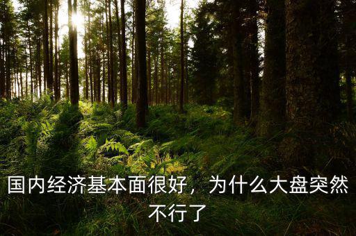 國內(nèi)經(jīng)濟基本面很好，為什么大盤突然不行了