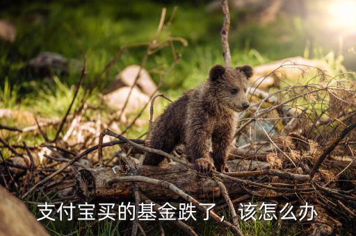 支付寶買的基金跌了，該怎么辦
