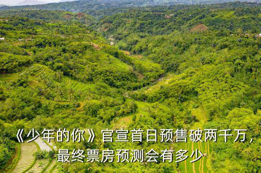 《少年的你》官宣首日預售破兩千萬，最終票房預測會有多少