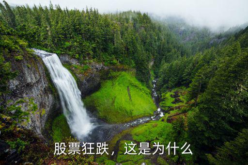 股票狂跌，這是為什么