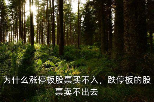 股票漲停為什么沒(méi)人賣(mài),為什么漲停板股票買(mǎi)不入