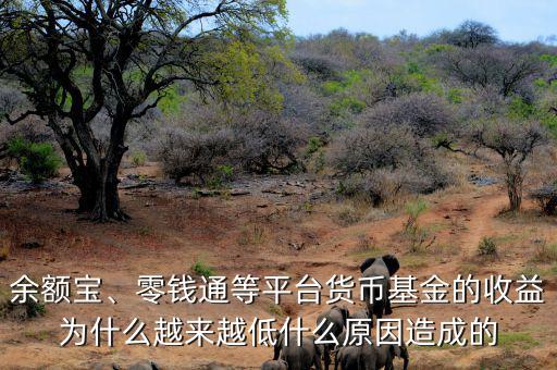 余額寶、零錢通等平臺(tái)貨幣基金的收益為什么越來越低什么原因造成的