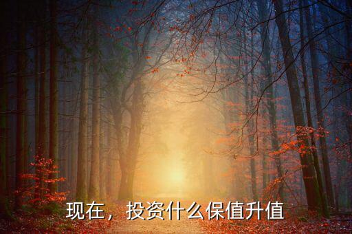 現在，投資什么保值升值