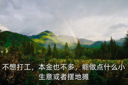 不想打工，本金也不多，能做點(diǎn)什么小生意或者擺地?cái)? class=