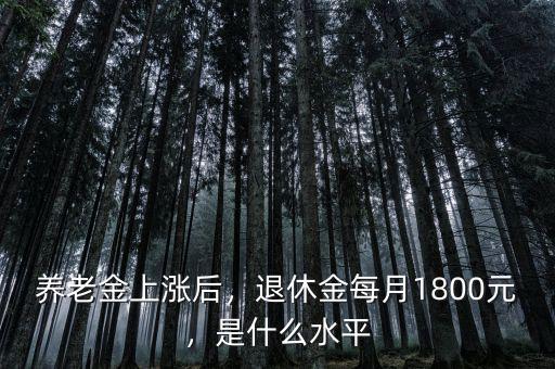 養(yǎng)老金上漲后，退休金每月1800元，是什么水平
