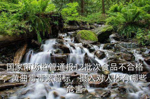 國家市場監(jiān)管通報12批次食品不合格，黃曲霉毒素超標(biāo)，攝入對人體有哪些危害