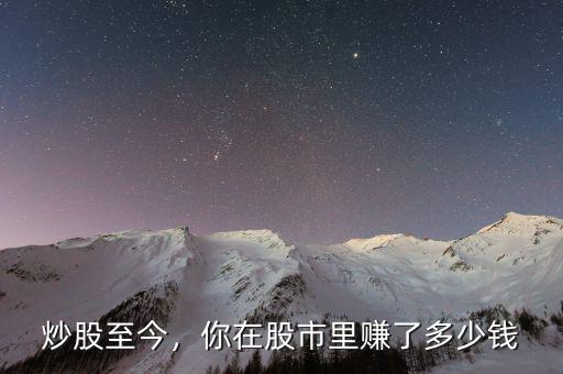 炒股至今，你在股市里賺了多少錢
