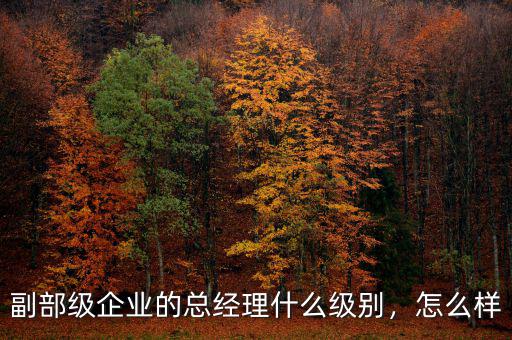 副部級(jí)企業(yè)的總經(jīng)理什么級(jí)別，怎么樣