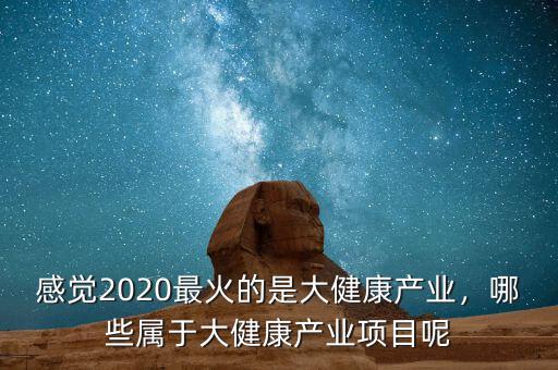 感覺(jué)2020最火的是大健康產(chǎn)業(yè)，哪些屬于大健康產(chǎn)業(yè)項(xiàng)目呢
