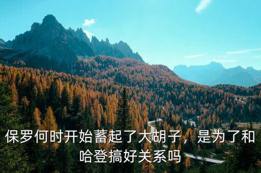 保羅何時(shí)開始蓄起了大胡子，是為了和哈登搞好關(guān)系嗎
