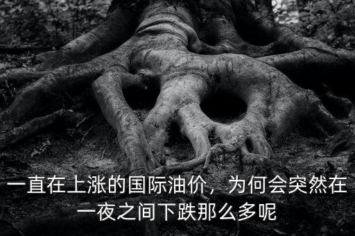 一直在上漲的國際油價，為何會突然在一夜之間下跌那么多呢