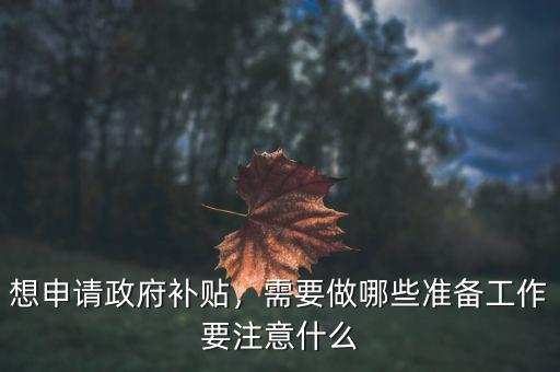 想申請政府補貼，需要做哪些準備工作要注意什么