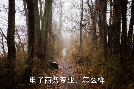 美的電子商務(wù)怎么樣,電子商務(wù)專(zhuān)業(yè)