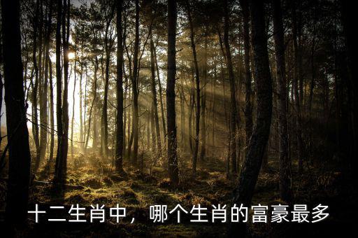 十二生肖中，哪個(gè)生肖的富豪最多