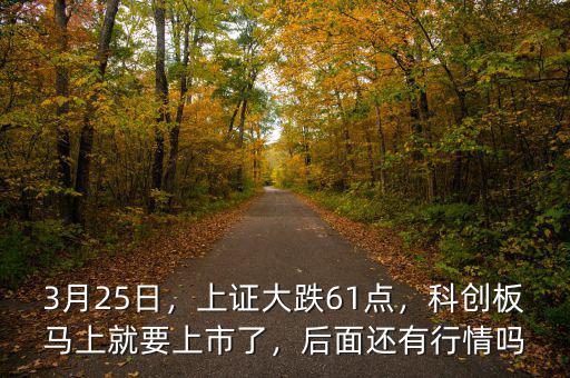 3月25日，上證大跌61點，科創(chuàng)板馬上就要上市了，后面還有行情嗎