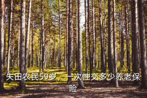失田農(nóng)民59歲，一次性交多少養(yǎng)老保險(xiǎn)