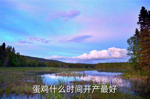 什么開(kāi)什么大什么行什么產(chǎn),蛋雞什么時(shí)間開(kāi)產(chǎn)最好