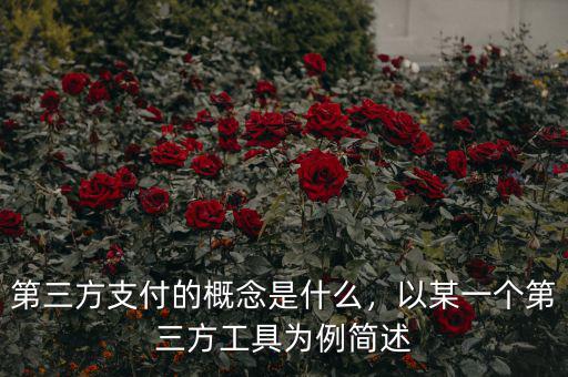 第三方支付的概念是什么，以某一個(gè)第三方工具為例簡述
