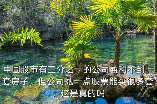 中國股市有三分之一的公司盈利不到一套房子，但公司拋一點股票能買很多套，這是真的嗎