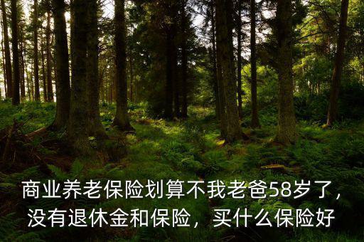 商業(yè)養(yǎng)老保險劃算不我老爸58歲了，沒有退休金和保險，買什么保險好